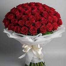 Букет 101 Красная роза Блэк Мэджик #REPLACE_PRED# Татарино