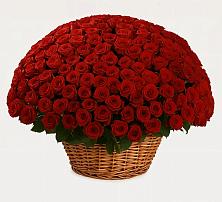 Премиум букет из: Розы #REPLACE_PRED# Татарино